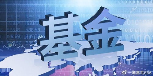 招商基金侯昊 為何此時放開基金限購？探尋企業自有資金入市的新機遇